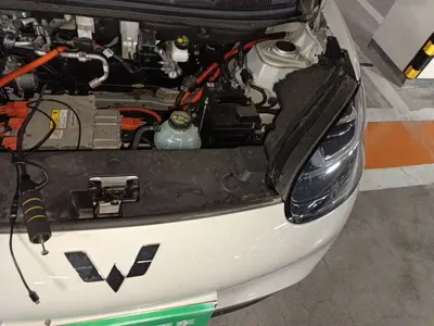 Wuling Bingo
