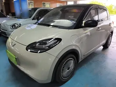 Wuling Bingo