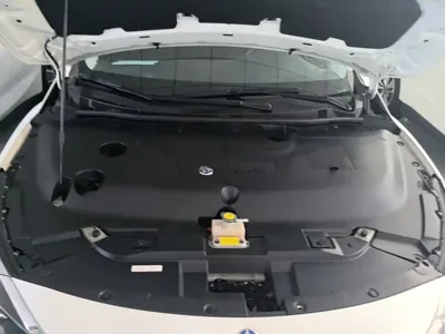 Venucia D60 EV