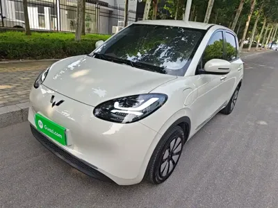 Wuling Bingo