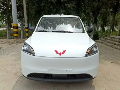 Wuling Hongguang EV