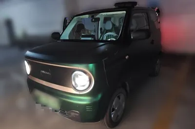 Geely Galaxy Panda