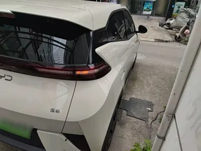 BYD Seagull