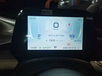 BYD Dolphin