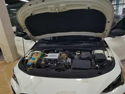 GAC Motor Shadow Leopard