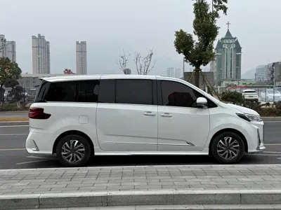 大通 G20
