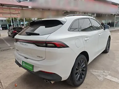 Fengxing Fengxing T5 EVO