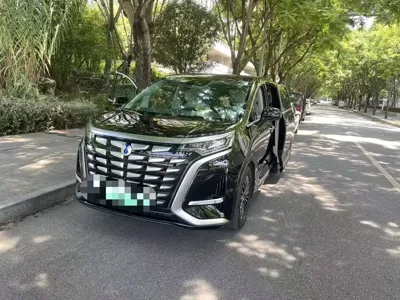 Denza Denza D9