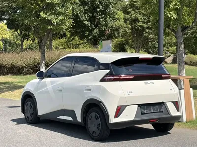 BYD Seagull