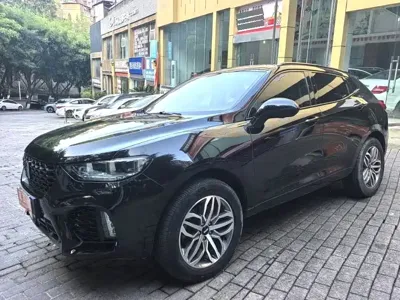 WEY Wey VV5