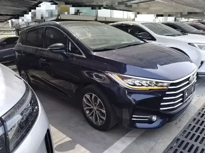 BYD MAX