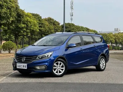 Baojun 310W