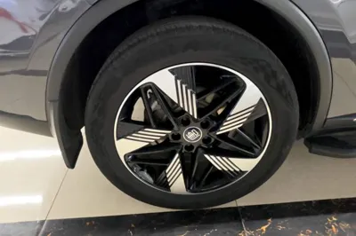 BYD Tang New Energy