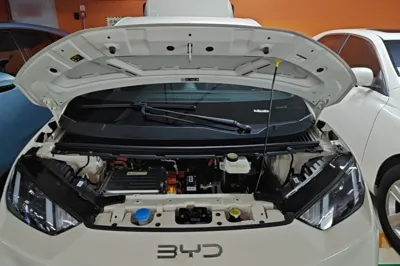 BYD Seagull
