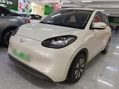Wuling Bingo