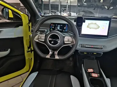 BYD Seagull