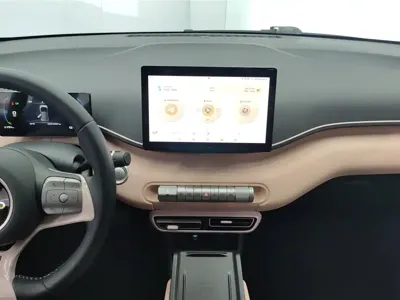 BYD Seagull