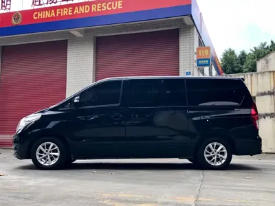 Fengxing Lingzhi PLUS