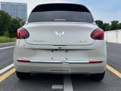Wuling Bingo
