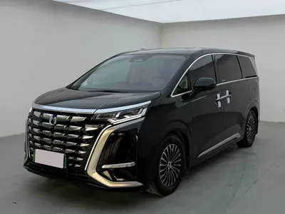 Denza Denza D9