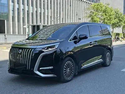 Denza Denza D9