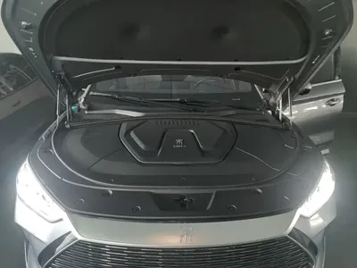 BYD PLUS New Energy
