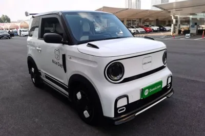 Geely Galaxy Panda