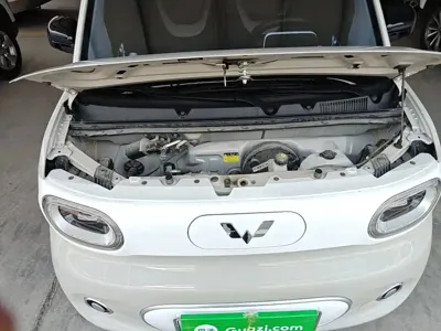 Wuling MINIEV