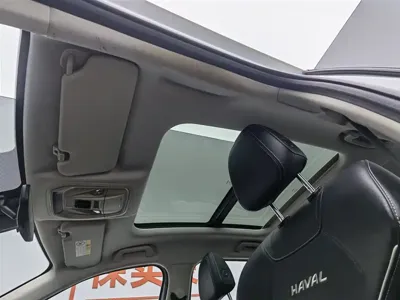 Haval Chulian