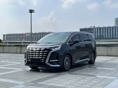 Denza Denza D9
