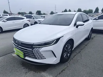 BYD Destroyer 05