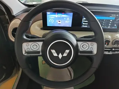 Wuling Bingo