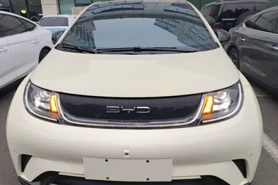 BYD Dolphin