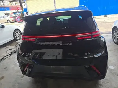 BYD Seagull