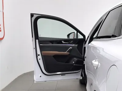 BYD Tang New Energy