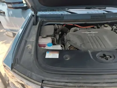Fang Cheng Bao Leopard 5