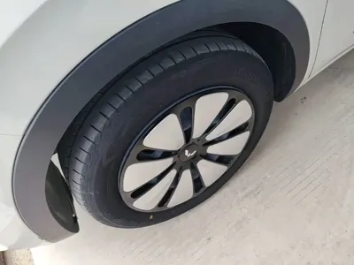 Wuling Bingo