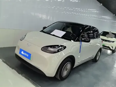 Wuling Bingo