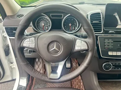Mercedes-Benz 奔驰GLE(进口)