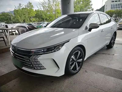 BYD Destroyer 05