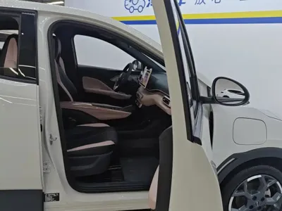 BYD Seagull
