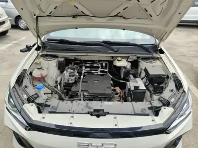 BYD e2