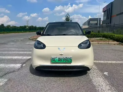Wuling Bingo