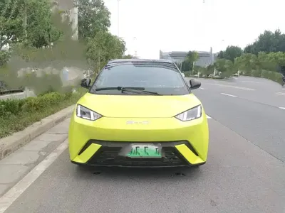 BYD Seagull