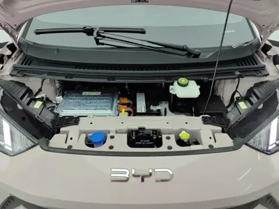 BYD Seagull