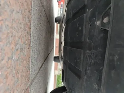 NETA Neta V