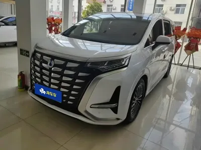 Denza Denza D9
