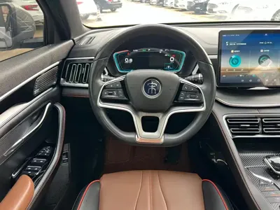 BYD PLUS