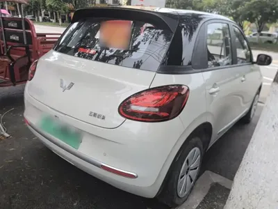 Wuling Bingo