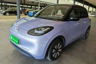 Wuling Bingo